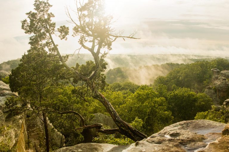 Besondere Aktivitäten Illinois Starved Rock State Park Tom on Tour 768x509 - Besondere Aktivitäten in Illinois: Unsere Top 5!