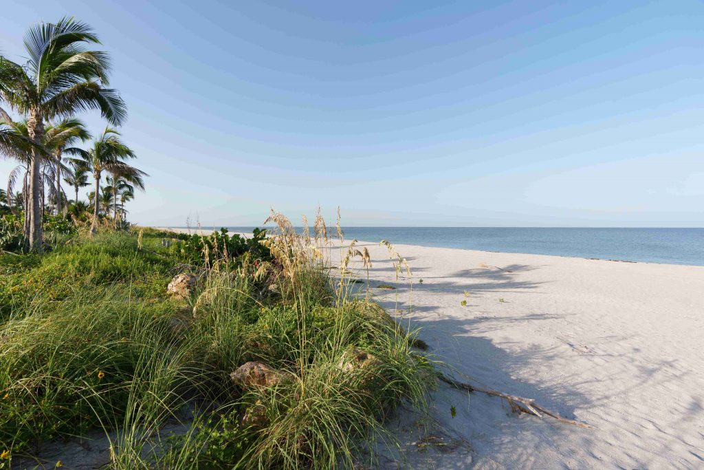 Turner Blind1024 A1N5908 1024x683 - Eine emotionale Reise durch verborgene Paradiese