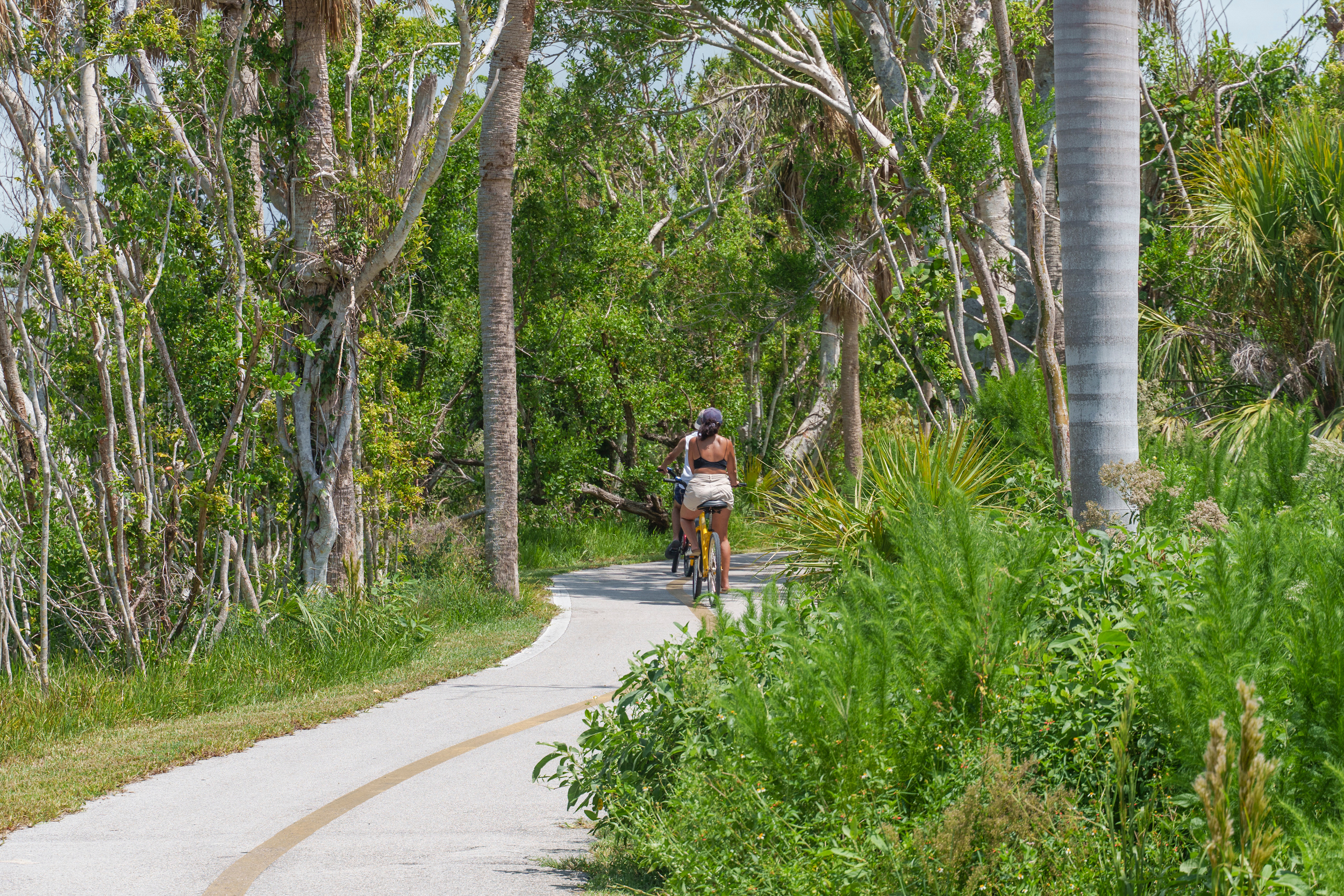 Die Magie des Great Calusa Blueway ©Fort Myers Islands Beaches and Neighborhoods J.N. Ding Darling - Die Magie des Great Calusa Blueway