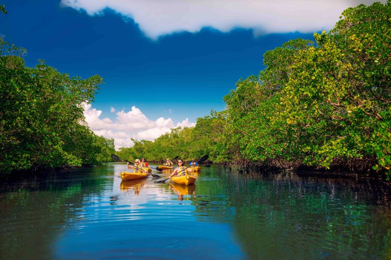 ©Fort Myers Islands Beaches and Neighborhoods kayaking 2klein 768x512 - Die Magie des Great Calusa Blueway