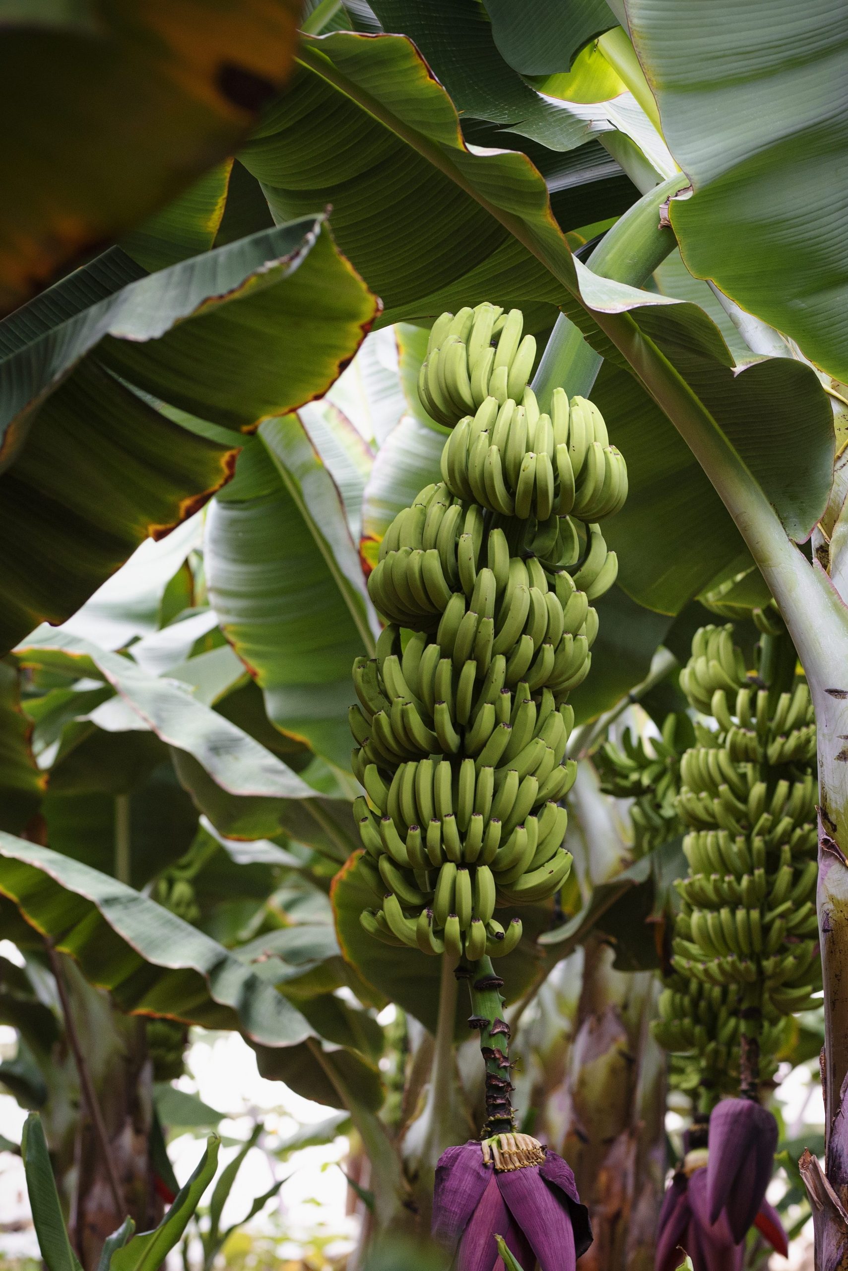 28 25 edited 1 scaled - Gran Canaria - Die wahre Bedeutung von Genuss