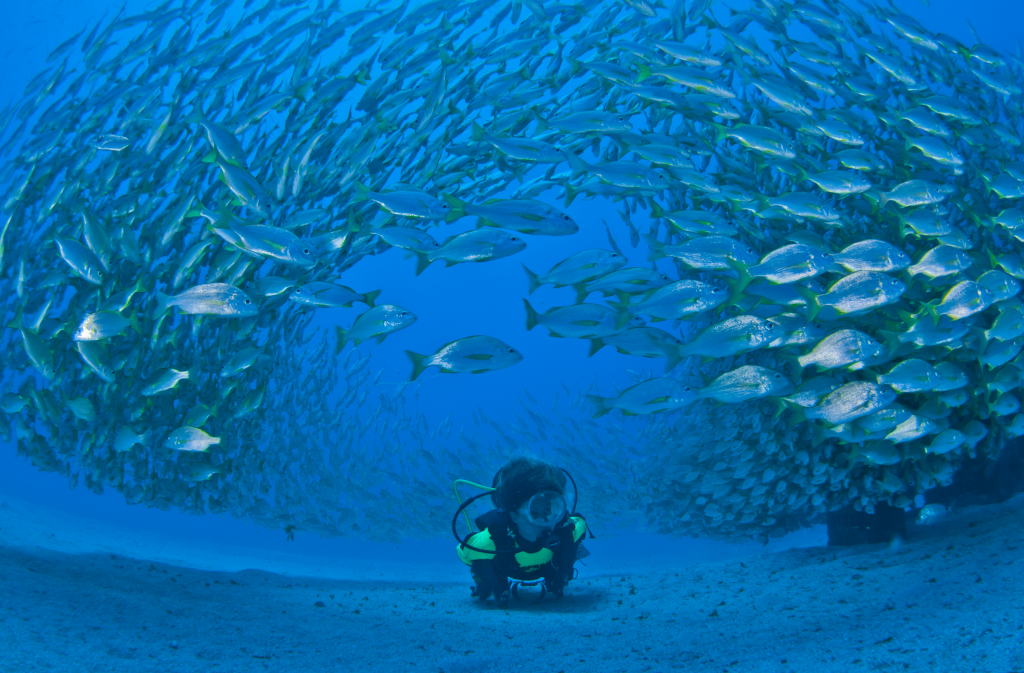 Bildschirmfoto 2025 12 10 um 12.07.21 1024x673 - Gran Canaria abseits der Touristenpfade