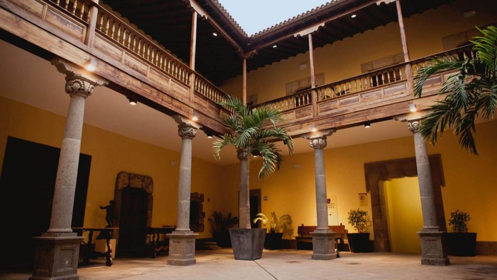 PH3879 cab d 1024x576 - Gran Canaria: Wenn ein Wald verschwindet – und Geschichten Wurzeln schlagen